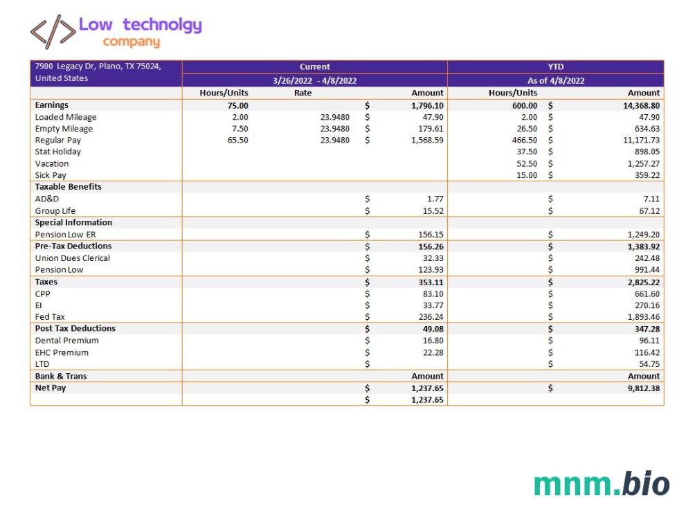 szablon Paystub firmy low technology w formatach Word i PDF